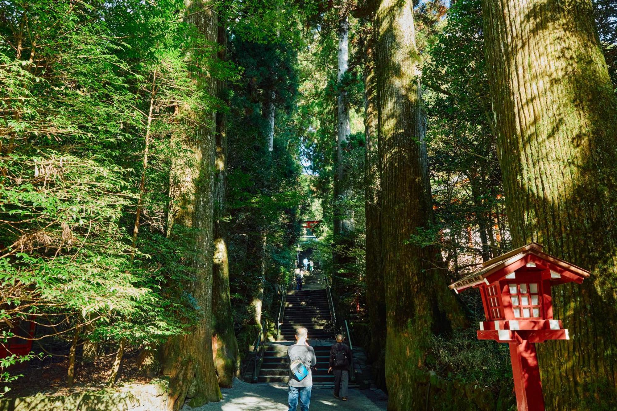 Villa Hakone Kabuto 古民家旅館 150平米 バス停迄一分 準天然温泉 最大12名 المظهر الخارجي الصورة